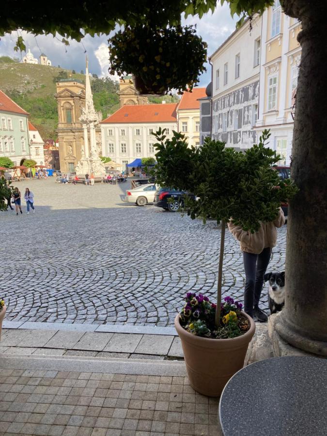 Guesthouse Mikulas Mikulov - Free Parking In The City Center Exterior photo