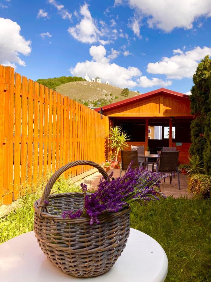Guesthouse Mikulas Mikulov - Free Parking In The City Center Exterior photo