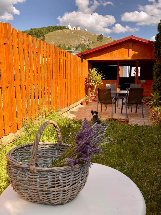 Guesthouse Mikulas Mikulov - Free Parking In The City Center Exterior photo