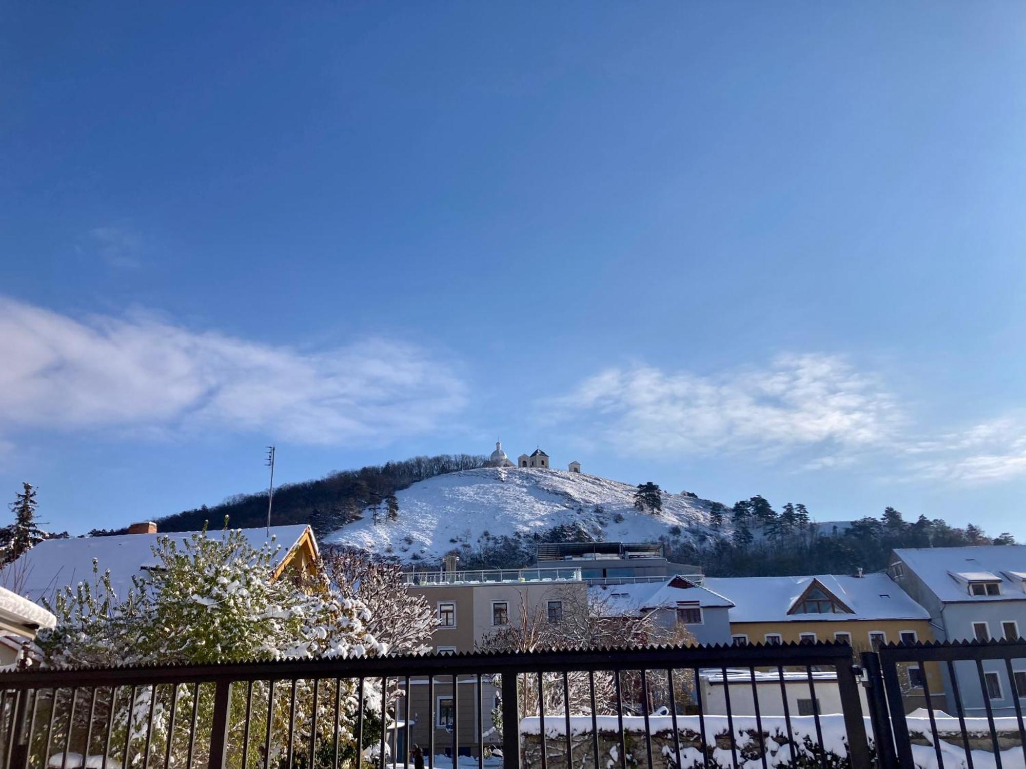 Guesthouse Mikulas Mikulov - Free Parking In The City Center Exterior photo