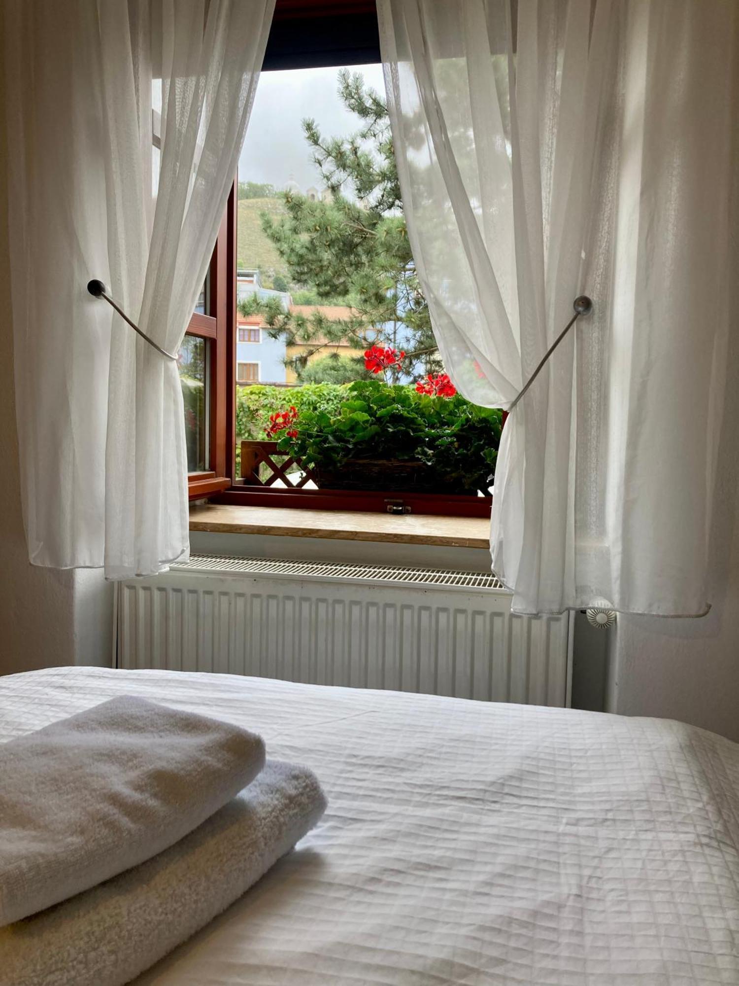 Guesthouse Mikulas Mikulov - Free Parking In The City Center Exterior photo